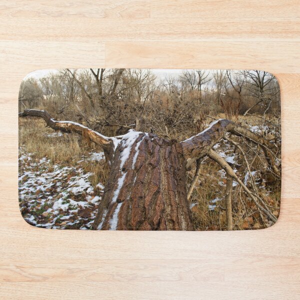 Item preview, Beautiful fall season photography designed and sold by Ventures1.
