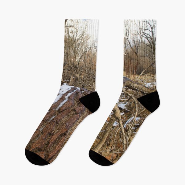 Item preview, Beautiful fall season photography designed and sold by Ventures1.