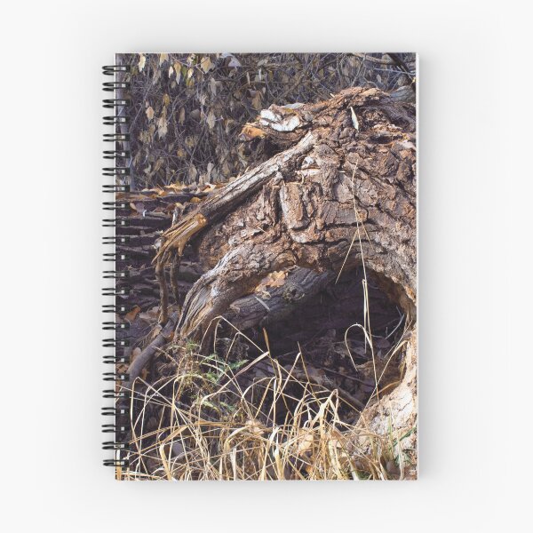 Item preview, Beautiful fall season photography designed and sold by Ventures1.