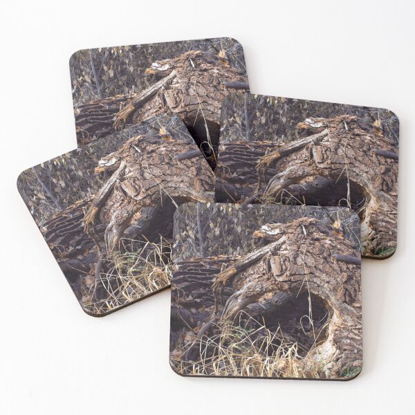 Item preview, Beautiful fall season photography designed and sold by Ventures1.