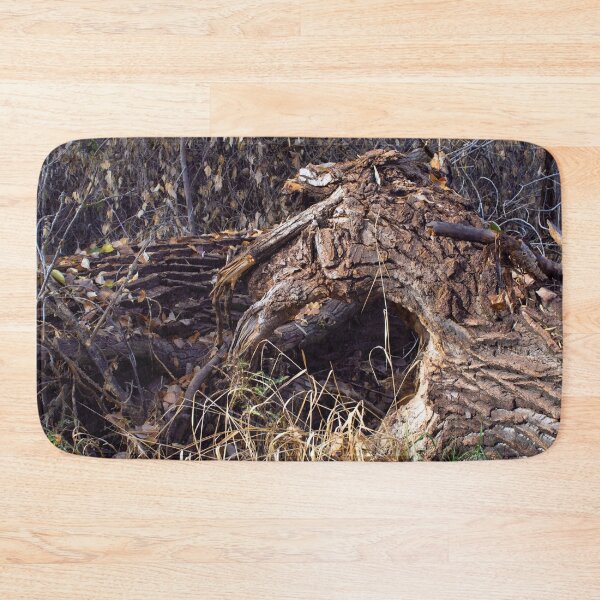 Item preview, Beautiful fall season photography designed and sold by Ventures1.