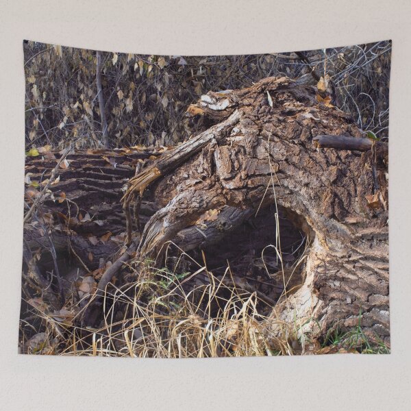Item preview, Beautiful fall season photography designed and sold by Ventures1.