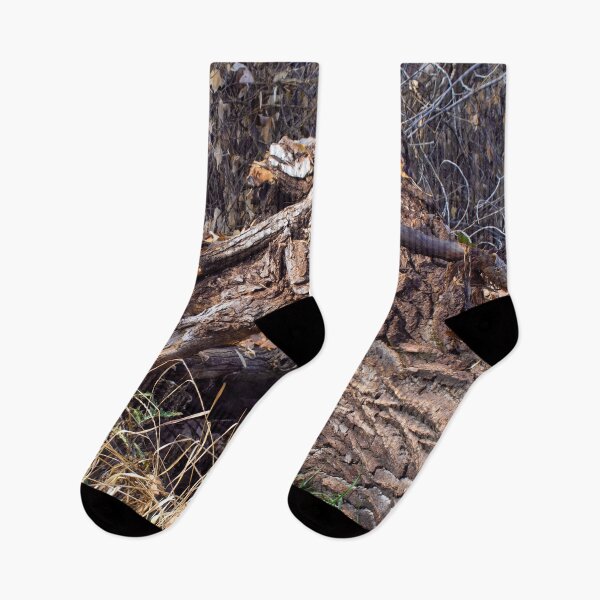 Item preview, Beautiful fall season photography designed and sold by Ventures1.