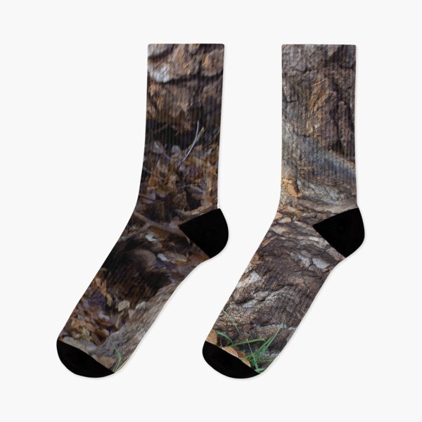 Item preview, Beautiful fall season photography designed and sold by Ventures1.