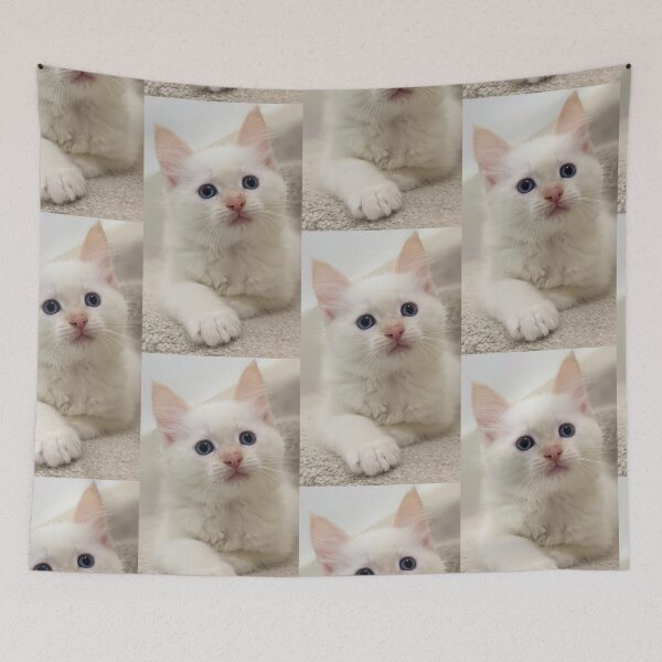 Item preview, Sweet fluffy kitten designed and sold by Fluffycat2020.