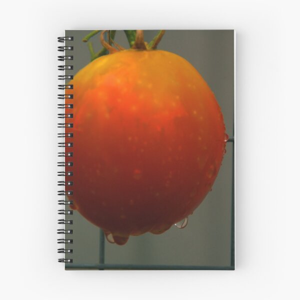 Item preview, Ripe Tomato designed and sold by ndarby1.