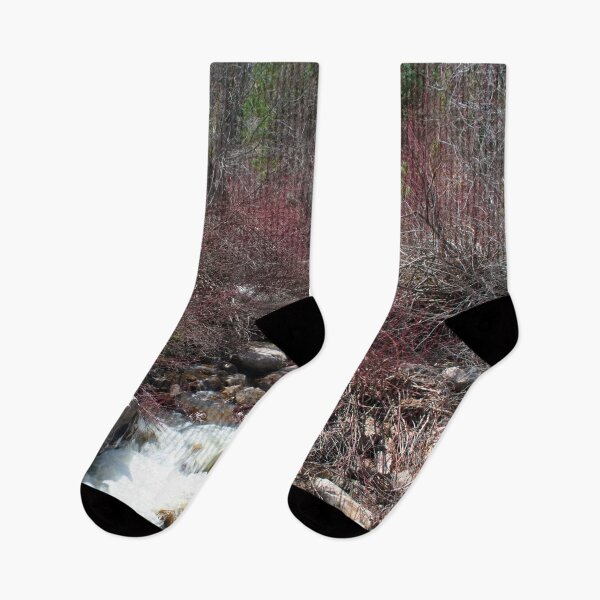 Item preview, Beautiful fall season photography designed and sold by Ventures1.