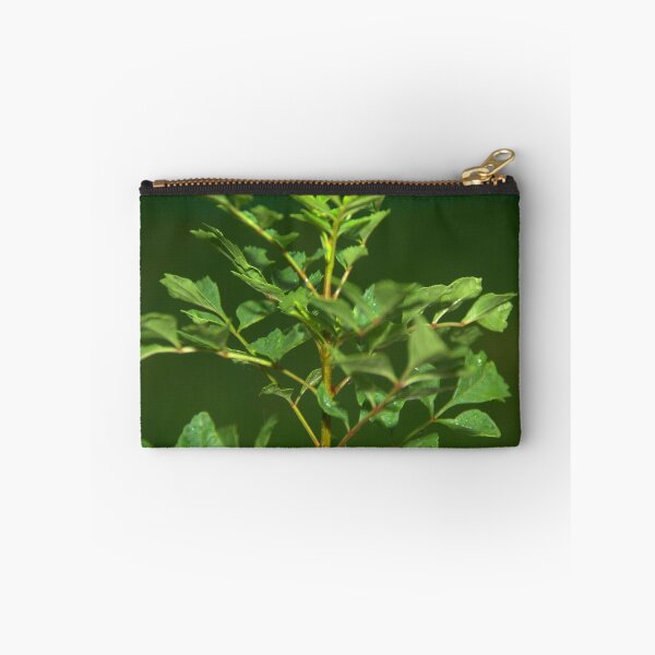 Item preview, Close up ash tree designed and sold by ndarby1.