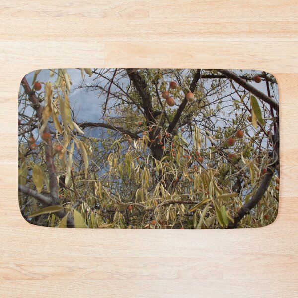 Item preview, Beautiful fall season photography designed and sold by Ventures1.