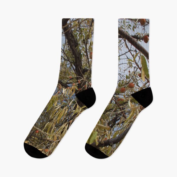 Item preview, Beautiful fall season photography designed and sold by Ventures1.
