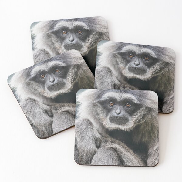 Item preview, Silver Gibbon designed and sold by NaturallyArt.