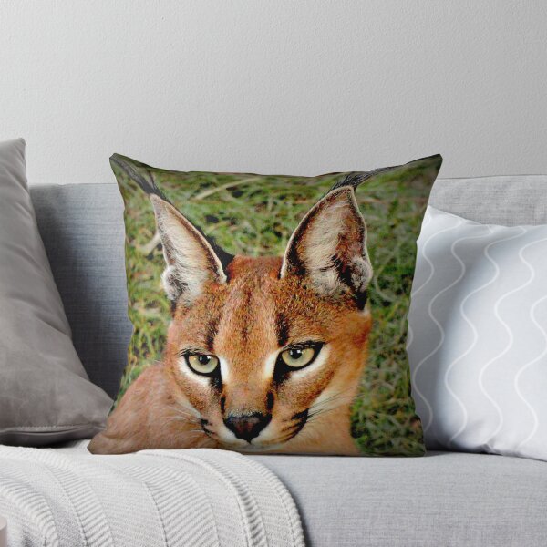 Item preview, Closer designed and sold by Vince Scaglione.