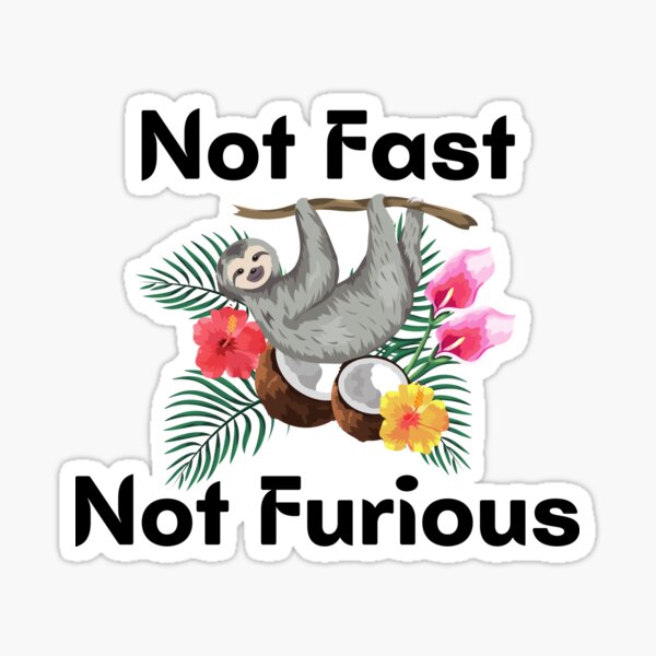 Not Fast Not Furious Sticker