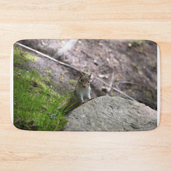 Item preview, Cute Chipmunk designed and sold by blb1014.