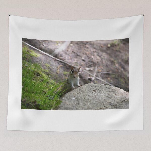 Item preview, Cute Chipmunk designed and sold by blb1014.