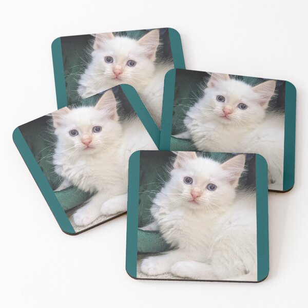 Item preview, Fluffy white kitten designed and sold by Fluffycat2020.