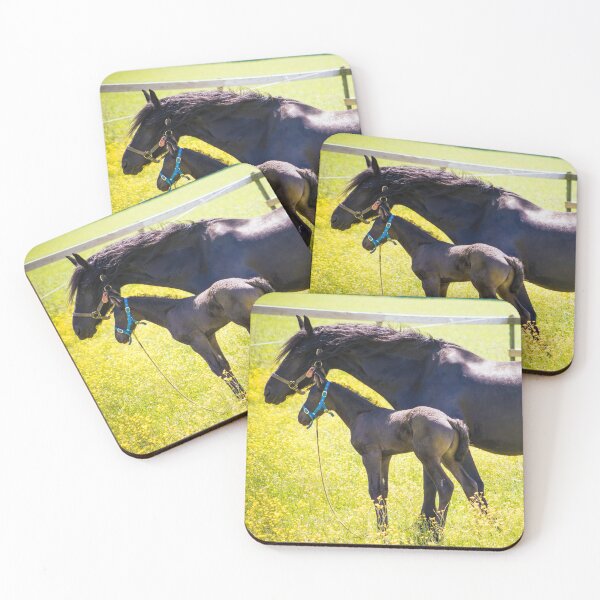 Item preview, Friesen designed and sold by krystynaphoto.