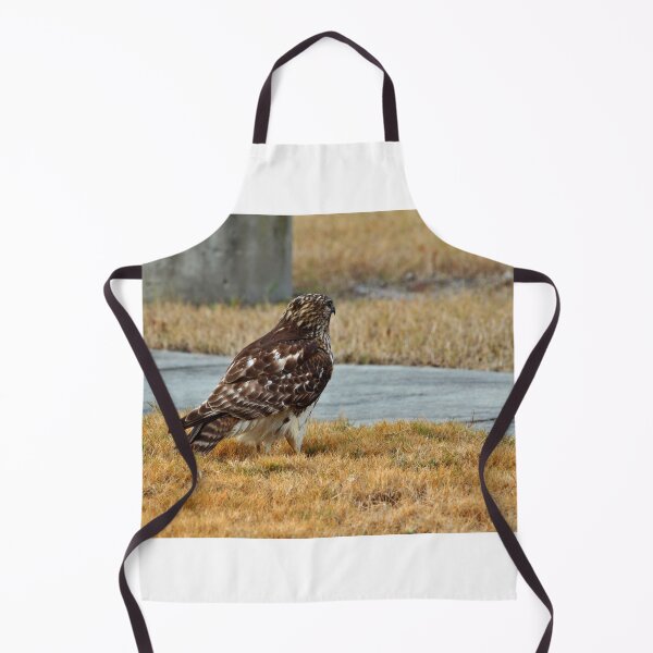 Item preview, Hawk In The City designed and sold by Cynthia48.