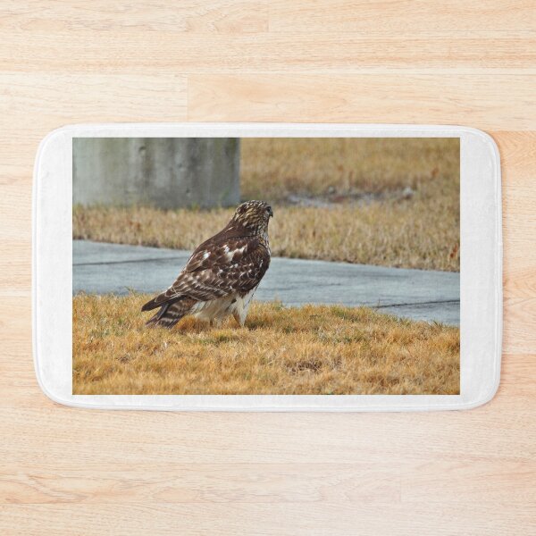 Item preview, Hawk In The City designed and sold by Cynthia48.