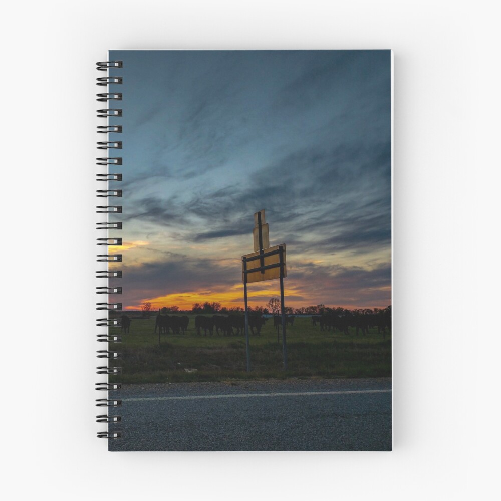 Item preview, Spiral Notebook designed and sold by RayRayViolet.