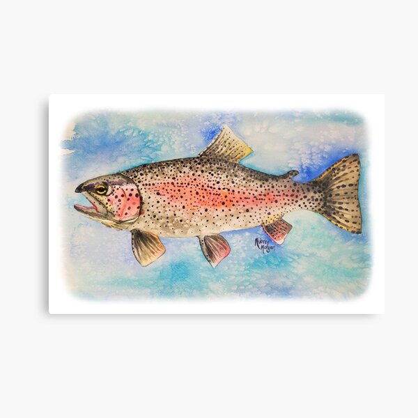 PRINT Rainbow Trout Eating Fly Watercolor Painting Print Fishing