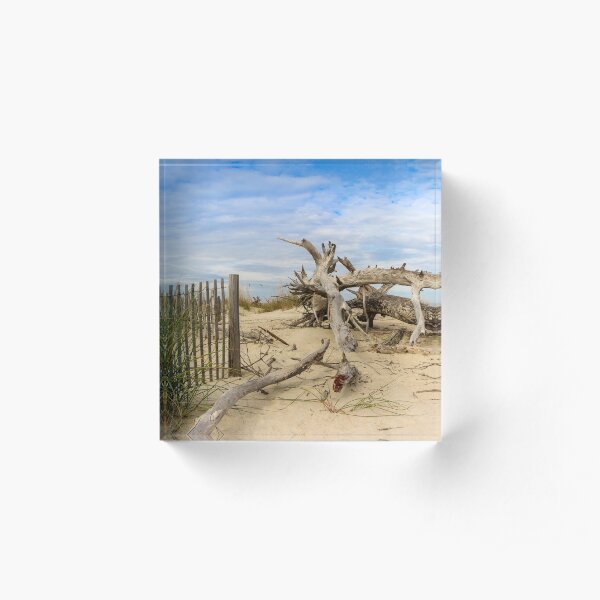Tybee Island Fence & Driftwood Acrylic Block