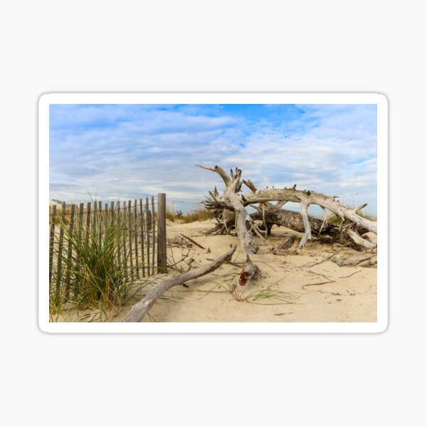 Tybee Island Fence & Driftwood Sticker