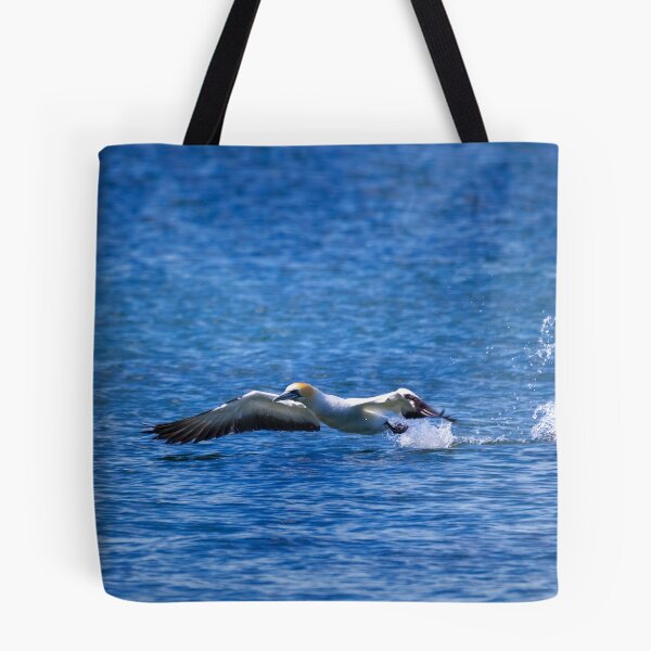 Item preview, Gannet take off designed and sold by DVart-nz.