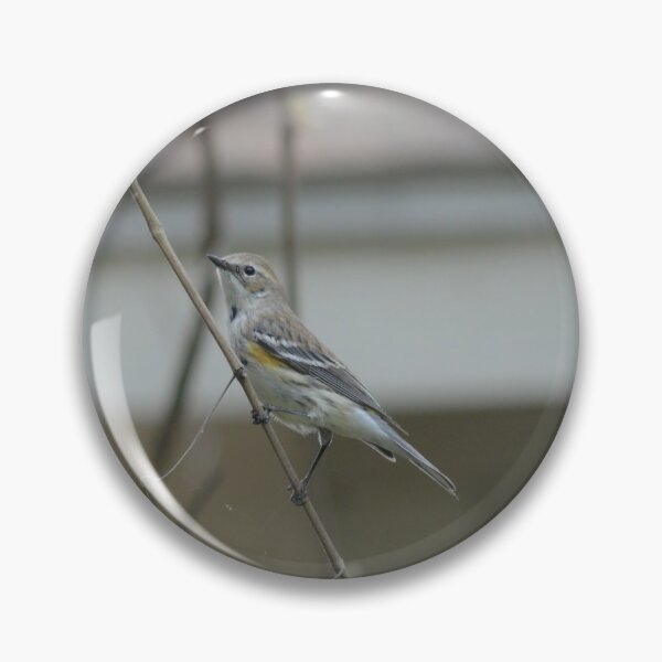 Item preview, Perched Yellow-Rumped Warbler designed and sold by Clardys.