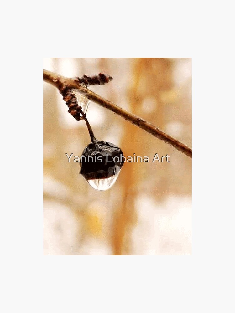 Magic raindrops by Yannis Lobaina by lobaina1979