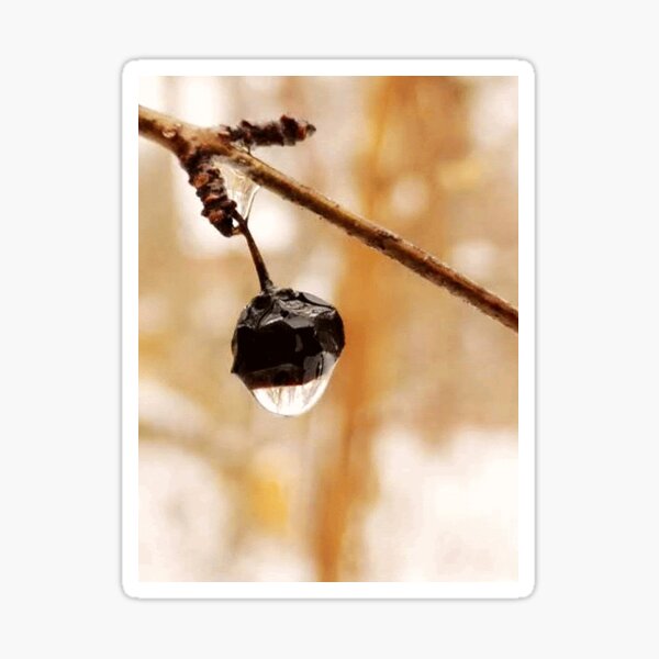 Magic raindrops by Yannis Lobaina Sticker