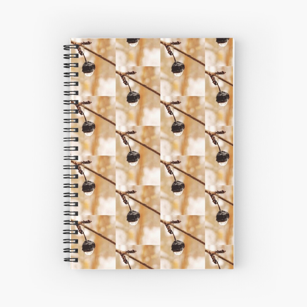 Magic raindrops by Yannis Lobaina Spiral Notebook