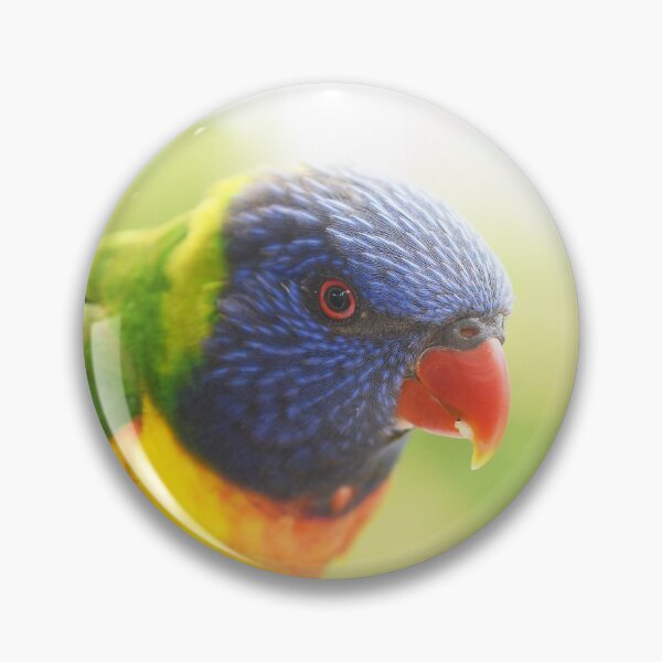 Item preview, the rainbow lorikeet designed and sold by Leone Fabre.
