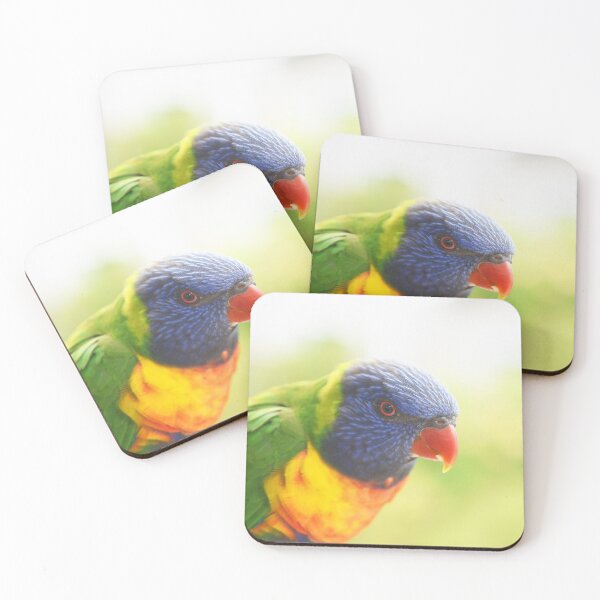Item preview, the rainbow lorikeet designed and sold by Leone Fabre.