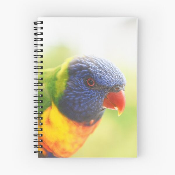 Item preview, el loro arcoiris designed and sold by Leone Fabre.