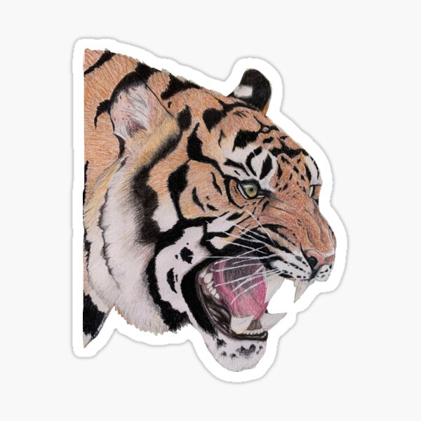 Bengal Tiger Geschenke Merchandise Redbubble