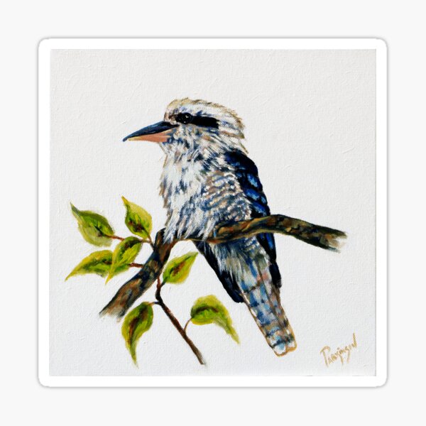 Kookaburra Perched on Branch Sticker