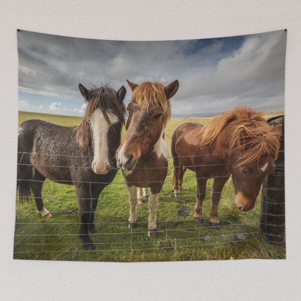 Artikelvorschau, Icelandic Horses entworfen und verkauft von heidipics.