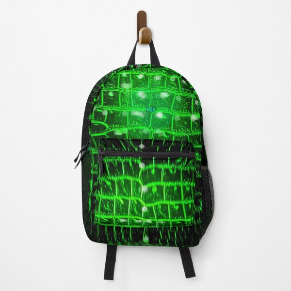 Item preview, Gator Graphic designed and sold by TMPSG.