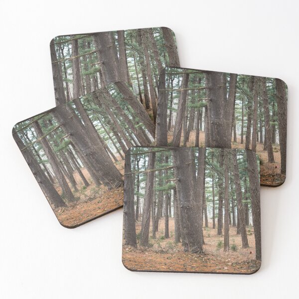 Item preview, A walk in the woods designed and sold by Susan Sheldon.