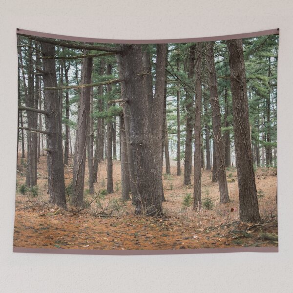 Item preview, A walk in the woods designed and sold by Susan Sheldon.