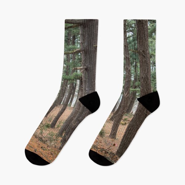 Item preview, A walk in the woods designed and sold by Susan Sheldon.