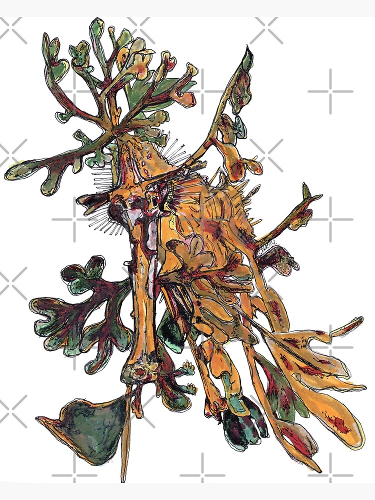 Carlee the Leafy Sea Dragon by Wildcard-Sue