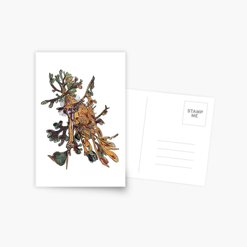 Carlee the Leafy Sea Dragon Postcard