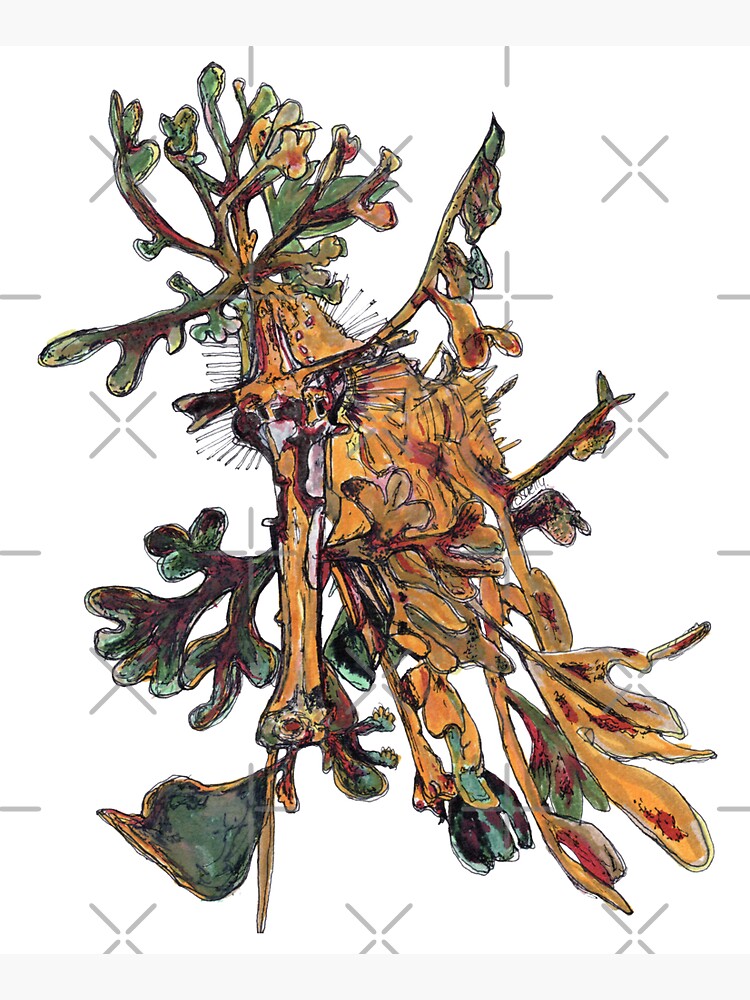Carlee the Leafy Sea Dragon by Wildcard-Sue