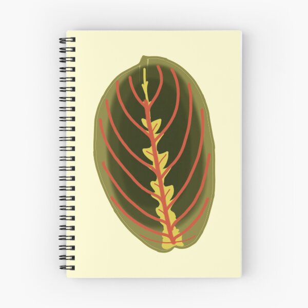 Item preview, prayer plant drawing designed and sold by laceyyyann34.