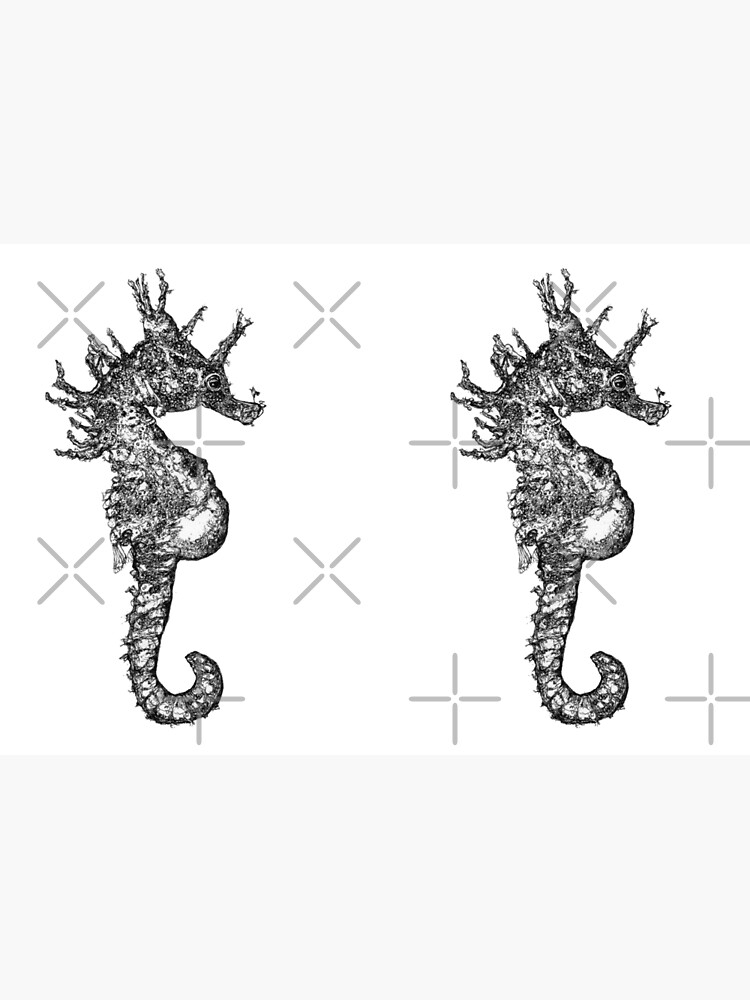 Dave the Seahorse by Wildcard-Sue