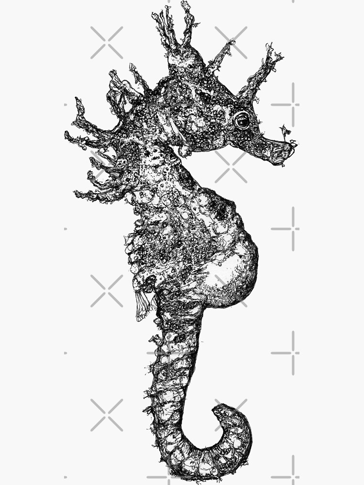 Dave the Seahorse by Wildcard-Sue