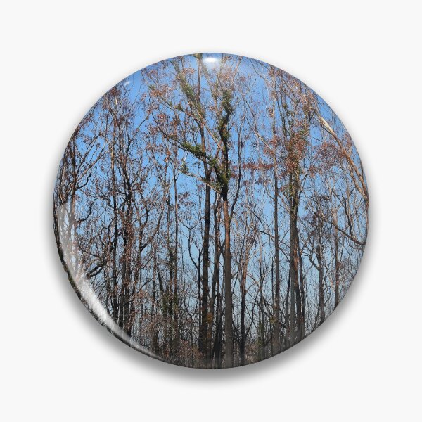 Item preview, post bushfire designed and sold by Leone Fabre.