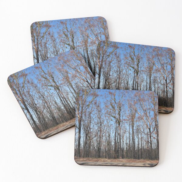 Item preview, post bushfire designed and sold by Leone Fabre.